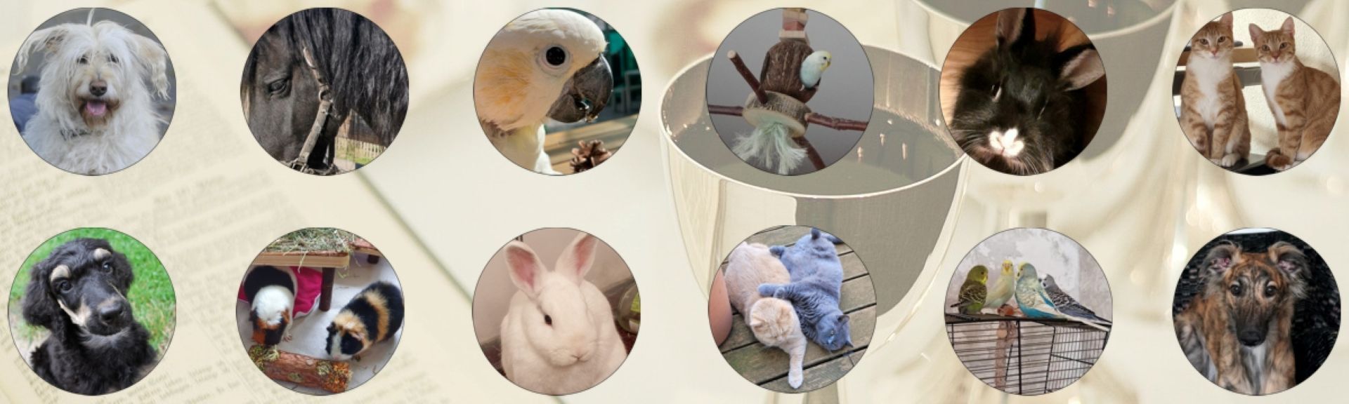 Fotocollage: der Seitenhintergrund zeigt verblasst den Blick auf eine aufgeschlagene Bibel und zwei gefüllte Weinkelche eines Abendmahlgeschirrs. Darüber liegen runde Tier-Fotografien von Hunden, Katzen, Vögeln, Meerschweinchen, Kaninchen und einem Pferd.